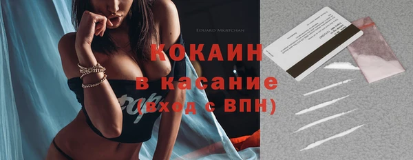 винт Каменка