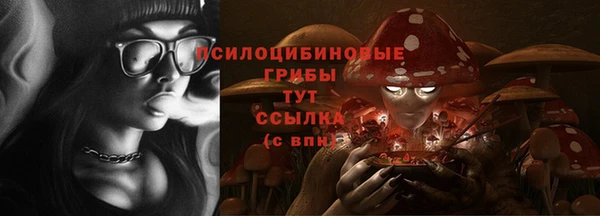 винт Каменка