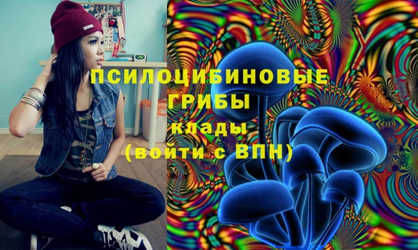 альфа пвп Каменногорск