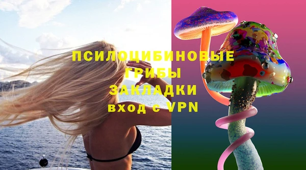 винт Каменка