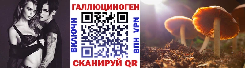 Галлюциногенные грибы прущие грибы  Купить закладки  Бирск 